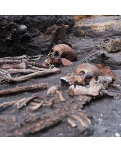 Foredrag:  900 år gammel gravplads fortæller ny historie om Aarhus