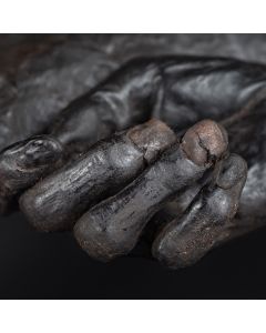 Guidet tur: Mysteriet om Grauballemanden