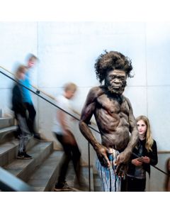 Piger betragter fortidsmennesket Lucy p&aring; evolutionstrappen.