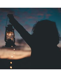 Naturvandring: Tusm&oslash;rkevandring i lygternes sk&aelig;r