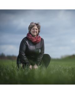 Foredrag: Krigerens verden - magt og pragt i keltisk jernalder